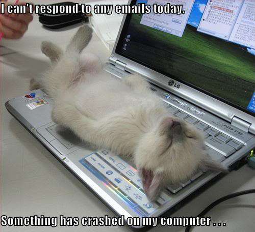 Bilder-Thread uh43048,1270922595,Crashed-Laptop