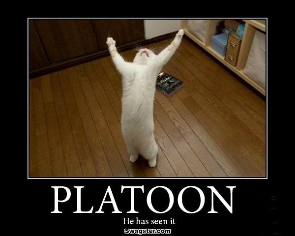 Bilder-Thread uh43048,1271106661,Platooncat