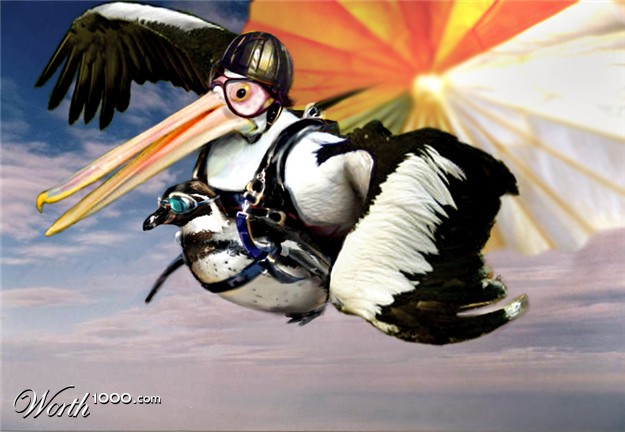 Bilder-Thread uh43048,1271156072,3472204 5e4f 625x1000