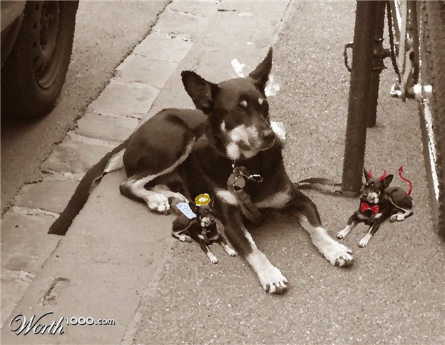 Bilder-Thread uh43048,1271177065,1029059 91d0 625x1000