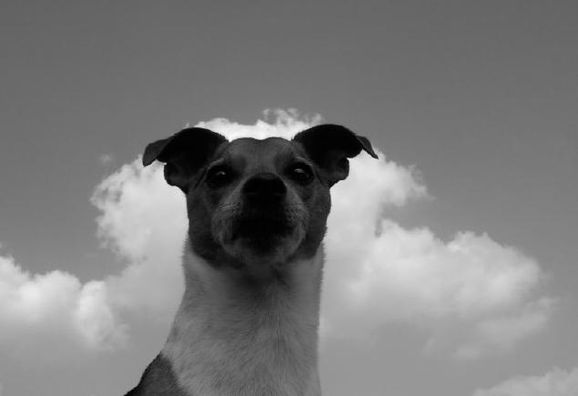 Bilder-Thread uh43048,1271261827,bicxu8zuljexcp5wh