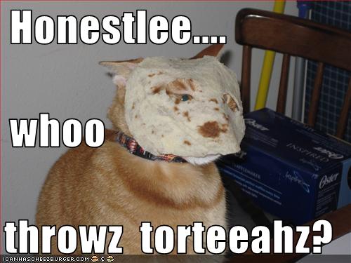 Bilder-Thread uh43048,1271324559,funny-pictures-cat-has-tortilla-on-face