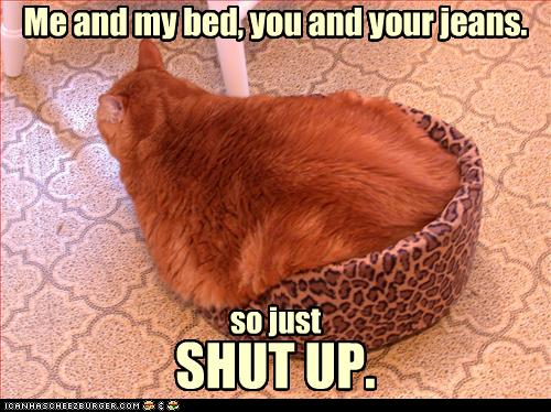 Bilder-Thread uh43048,1271324709,funny-pictures-cat-is-too-big-for-bed