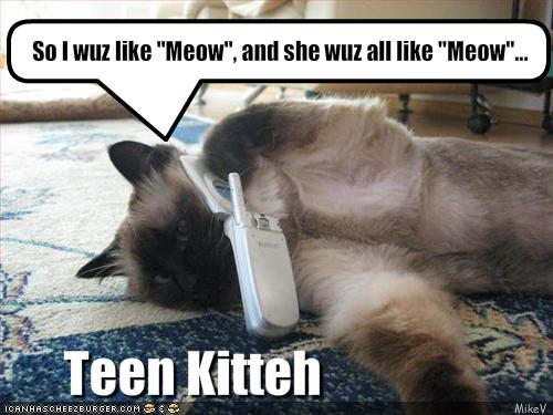 Bilder-Thread uh43048,1271324739,funny-pictures-cat-is-teenager