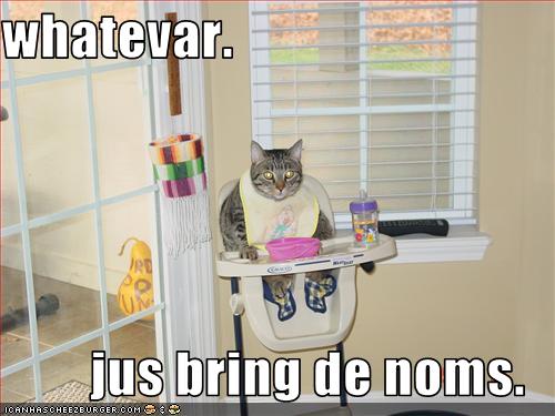 Bilder-Thread uh43048,1271324767,funny-pictures-cat-wears-bib