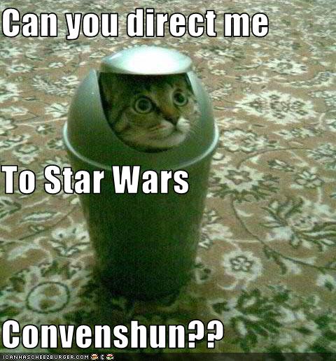 Bilder-Thread uh43048,1271324779,funny-pictures-cat-goes-to-convention