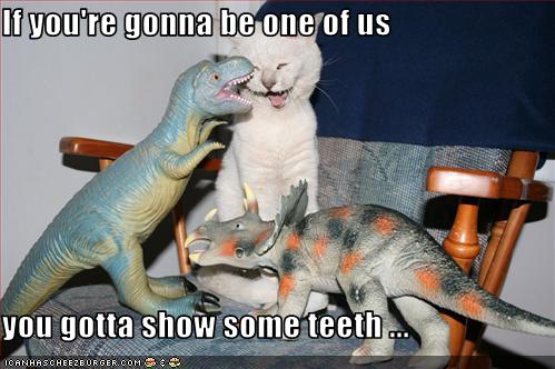 Bilder-Thread uh43048,1271324819,funny-pictures-kitten-will-be-dinosaur