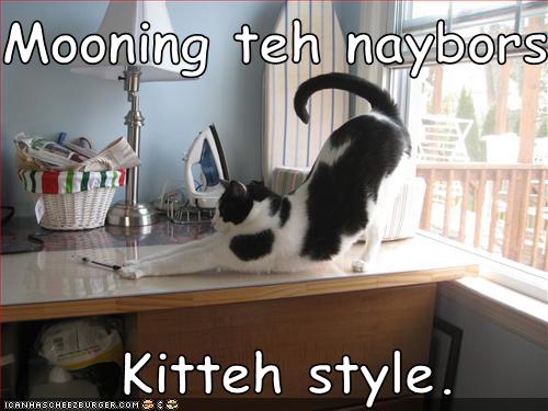 Bilder-Thread uh43048,1271324831,funny-pictures-cat-moons-neighbors