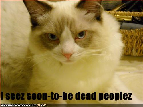 Bilder-Thread uh43048,1271324856,funny-pictures-cat-makes-threats