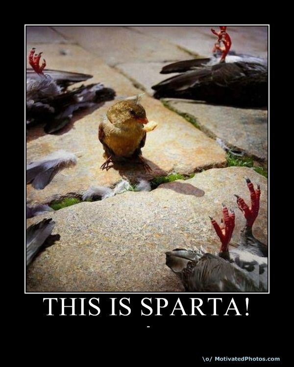 Bilder-Thread uh43048,1271610678,633931230919684425-thisissparta