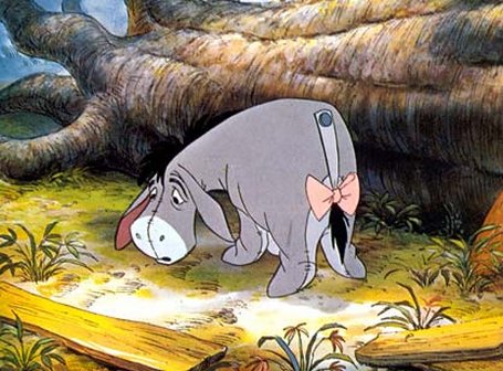 Bilder-Thread uh43048,1271769506,eeyore
