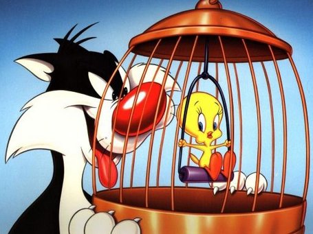 Bilder-Thread uh43048,1271769506,sylvester