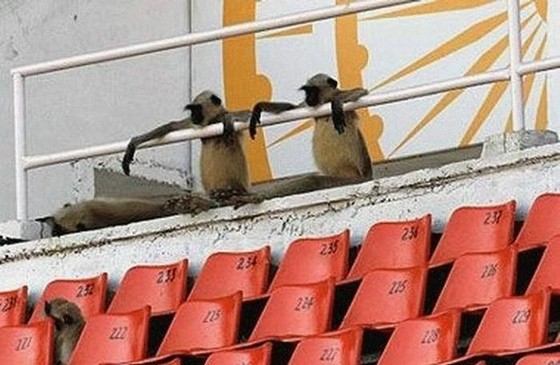 Bilder-Thread uh43048,1272011908,funny-sports-01
