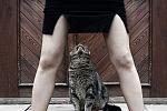 Bilder-Thread uh43048,1272053432,muschi-gucken