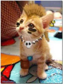 Bilder-Thread uh43048,1272590572,punk