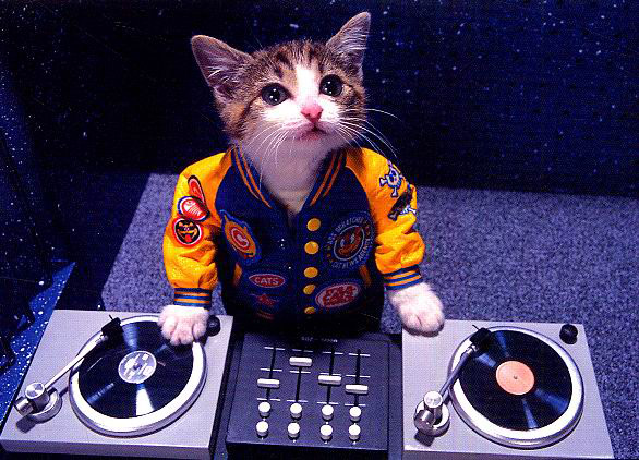 Bilder-Thread uh43048,1272591486,Cat DJ