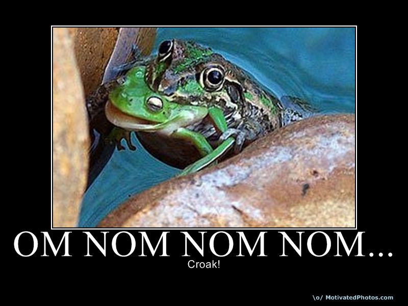 Bilder-Thread uh43048,1272722394,633777407571531495-OmNomNomNom