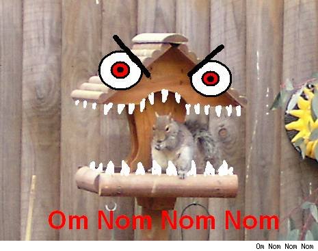 Bilder-Thread uh43048,1272723441,squirrelnomnom-omnom-456-042209