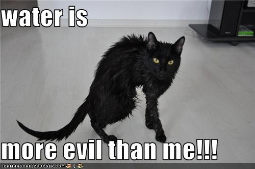 Bilder-Thread uh43048,1272972729,funny-pictures-water-is-evil