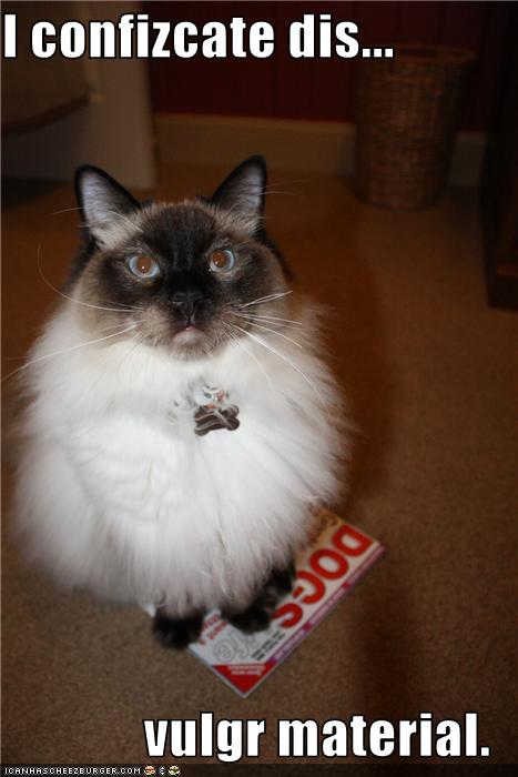 Bilder-Thread uh43048,1272972743,funny-pictures-cat-confiscates-magazine