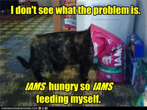 Bilder-Thread uh43048,1272972805,funny-pictures-cat-feeds-itself