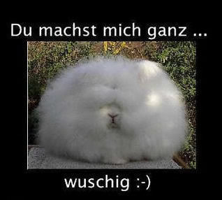 Bilder-Thread uh43048,1272975281,061Du-machst-mich-wuschig