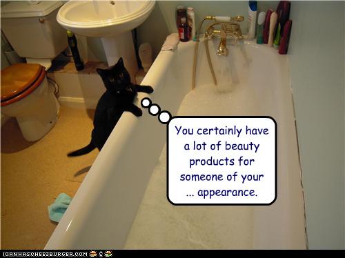 Bilder-Thread uh43048,1273224199,funny-pictures-cat-insults-your-appearance
