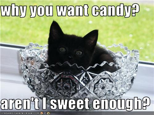 Bilder-Thread uh43048,1273474836,funny-pictures-kitten-is-sweet