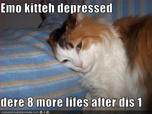 Bilder-Thread uh43048,1273474869,funny-pictures-cat-is-depressed