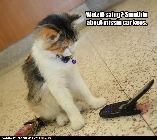 Bilder-Thread uh43048,1273474914,funny-pictures-cat-talks-on-phone