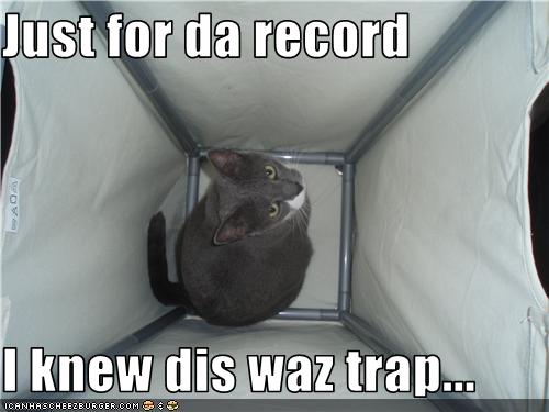 Bilder-Thread uh43048,1273474925,funny-pictures-cat-is-trapped