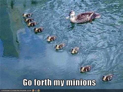 Bilder-Thread uh43048,1273474934,funny-pictures-duck-has-minions