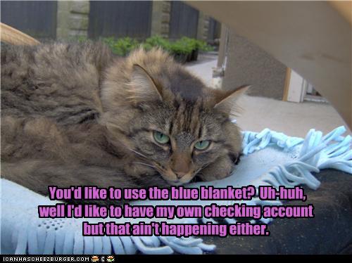 Bilder-Thread uh43048,1273668677,funny-pictures-cat-is-on-blanket