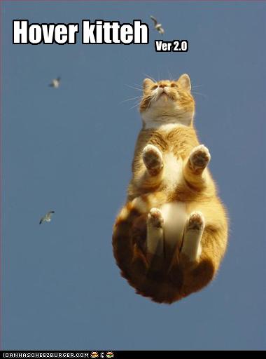 Bilder-Thread uh43048,1273668697,funny-pictures-cat-hovers