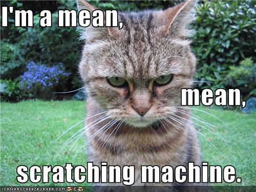 Bilder-Thread uh43048,1273668710,funny-pictures-cat-is-mean