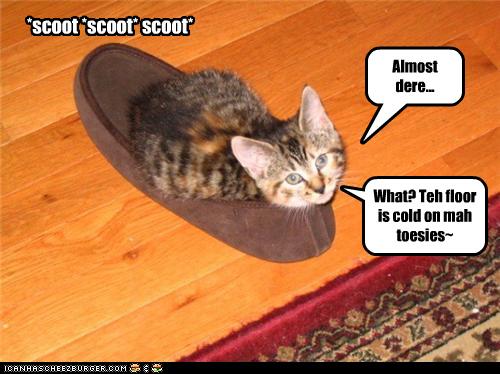 Bilder-Thread uh43048,1273668764,funny-pictures-kitten-scoots