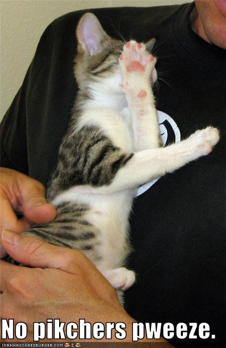 Bilder-Thread uh43048,1273668801,funny-pictures-cat-hates-photos