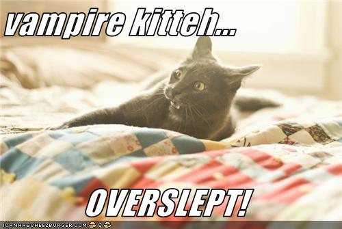 Bilder-Thread uh43048,1273668820,funny-pictures-cat-is-vampire