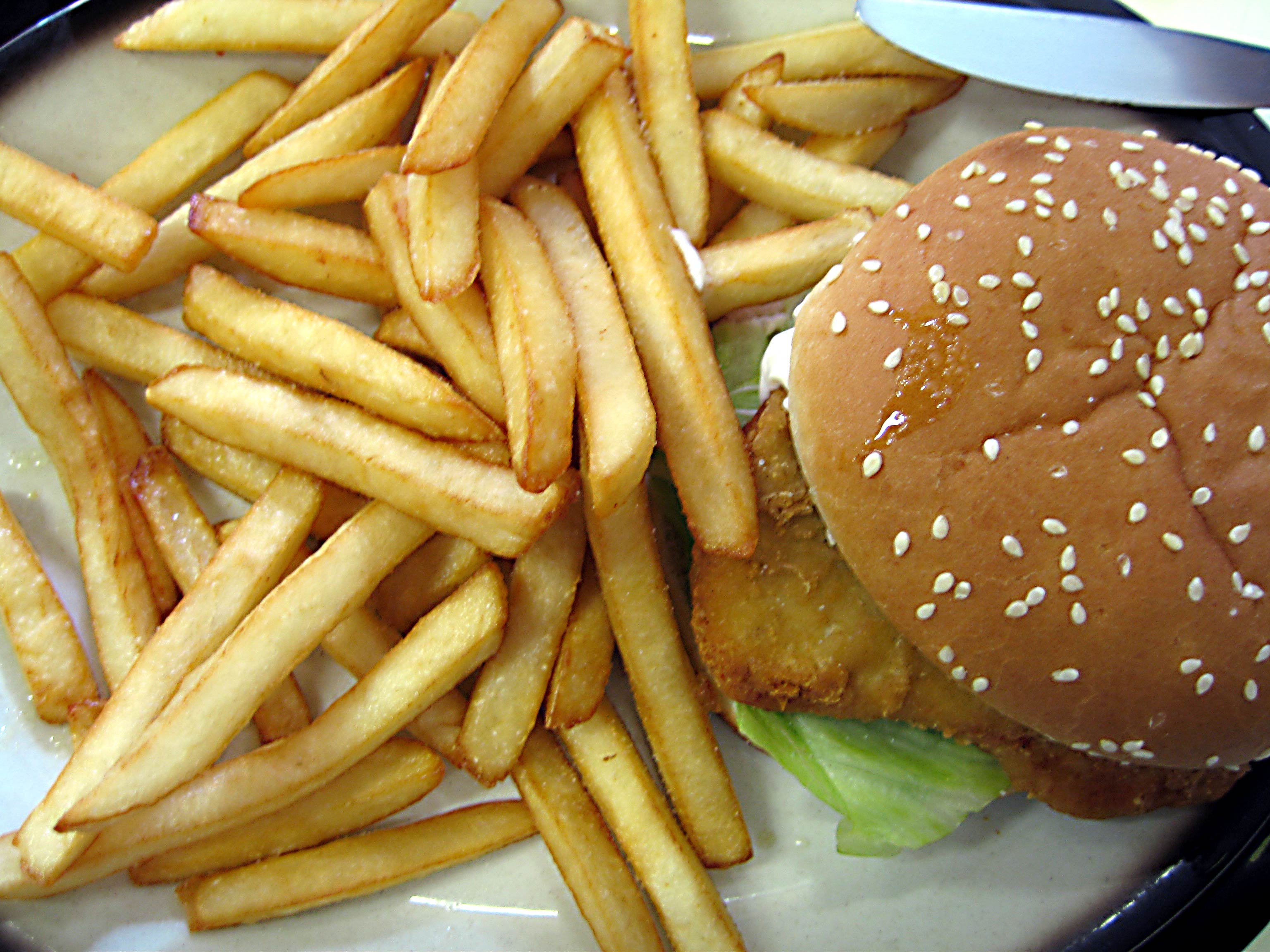 Bilder-Thread uh43048,1273690448,burger-and-chips-chickenburger-in-sesame-seed-bun-with-lettuce-mayo-and-deep-fried-potato-chips-on-oval-ceramic-plate-tweaked-1-DHD