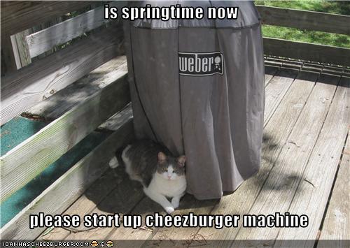 Bilder-Thread uh43048,1274276862,funny-pictures-cat-asks-that-you-start-machine