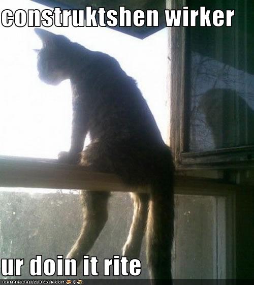 Bilder-Thread uh43048,1274276942,funny-pictures-cat-is-construction-worker