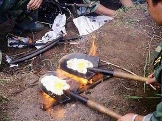 Bilder-Thread uh43048,1274342246,KMDN FunnyPictures Part23 44