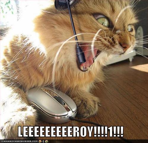 Bilder-Thread uh43048,1274371321,funny-pictures-cat-screams