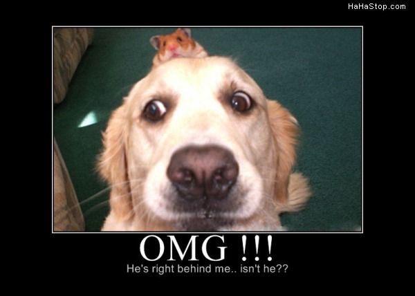 Bilder-Thread uh43048,1274371783,Omg974