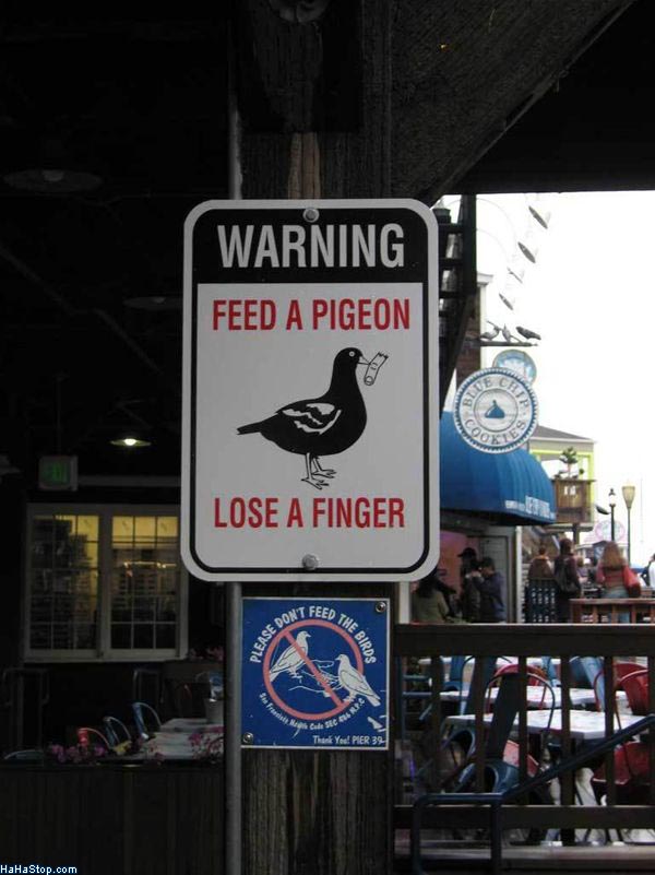 Bilder-Thread uh43048,1274372033,Dont Feed The Pigeons