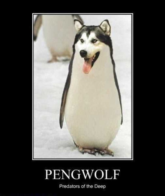 Bilder-Thread uh43048,1274378017,KillMyDayNow FunnyPictures90