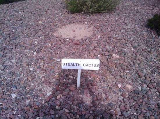 Bilder-Thread uh43048,1274439918,KillMyDayNow FunnyPictures 6