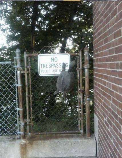 Bilder-Thread uh43048,1274440166,KillMyDayNow FunnyPictures 52