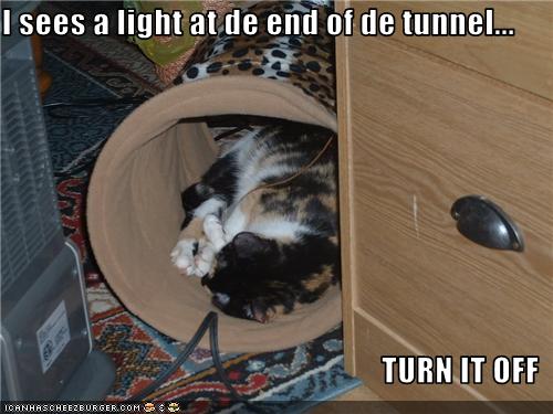 Bilder-Thread uh43048,1274452637,funny-pictures-cat-saw-light