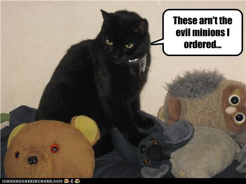Bilder-Thread uh43048,1274452684,funny-pictures-cat-ordered-incorrect-minions